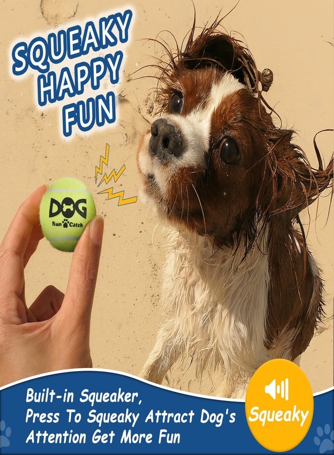INSUM Small Tennis Balls for Dogs, 2.0'' - 6 Pack - Squeaky Dog Balls for Small Breed, Interactive Fetch & Chew Toys, Perfect for Outdoor & Indoor Play - Image 3